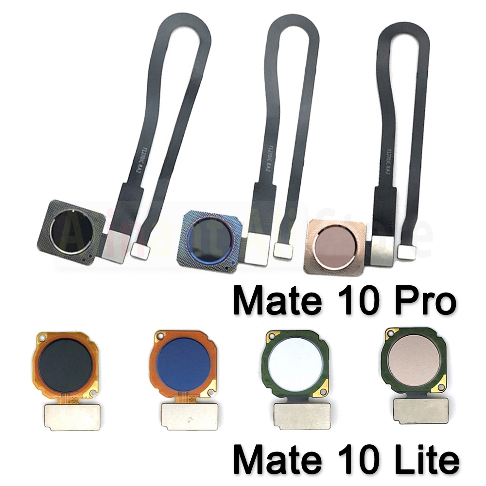 AiinAnt Home Button Back Key C - Fingerprint Cable Flex recensione e prezzo